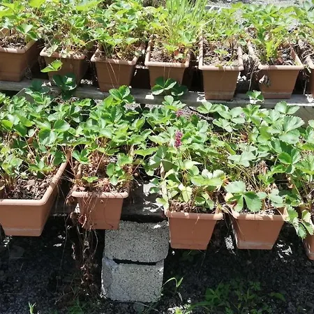 Вилла Luxury Nature Life