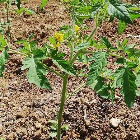 Luxury Nature Life Вилла *