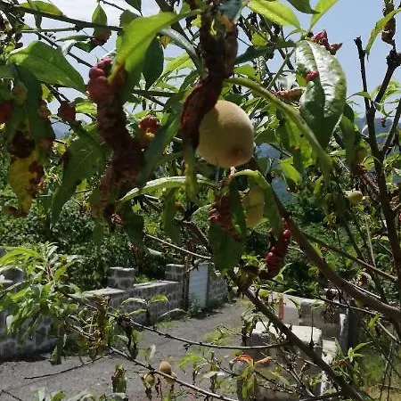 Villa Luxury Nature Life Trabzon