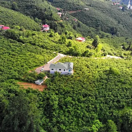 Villa Luxury Nature Life