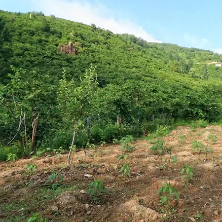 Luxury Nature Life فيلة