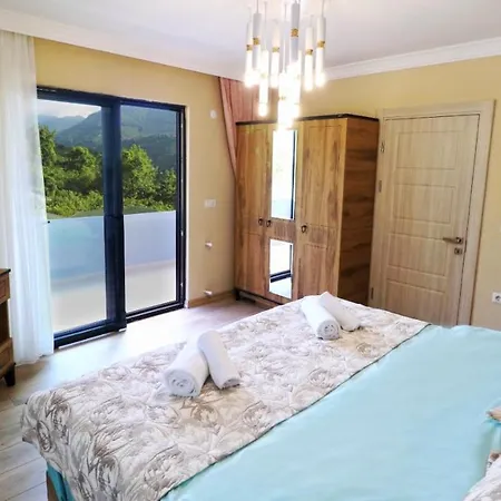 Luxury Nature Life Villa *