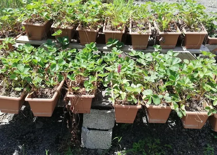 Villa Luxury Nature Life