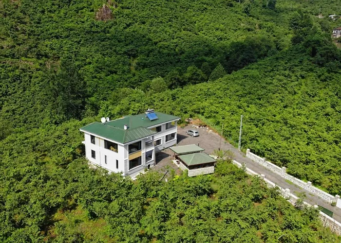 Luxury Nature Life Villa *