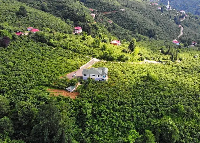 Villa Luxury Nature Life