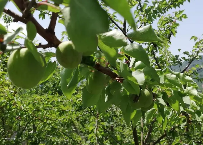 Luxury Nature Life *