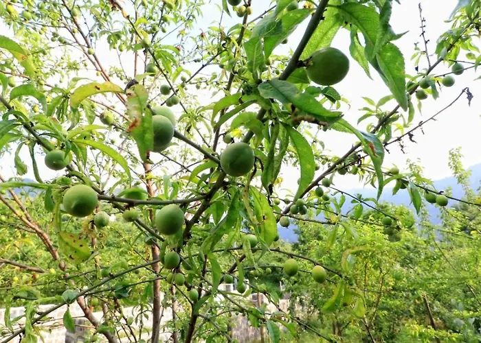 Villa Luxury Nature Life